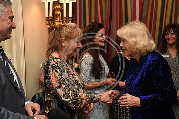 DUCHESS OF CORNWALL_BEF_PN22_10855