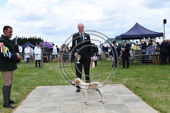 Festival of Hounds 2024
