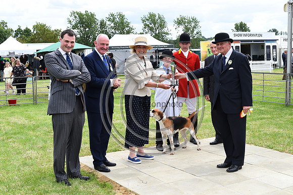 Festival of Hounds 2024