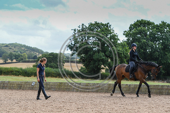 Collective Equestrian