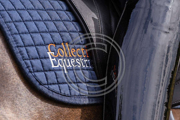 Collective Equestrian