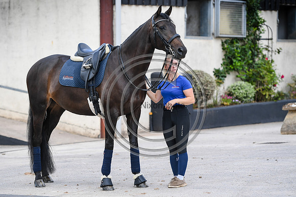 Collective Equestrian