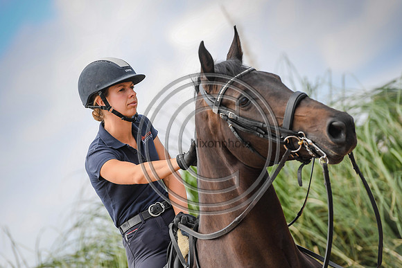 Collective Equestrian