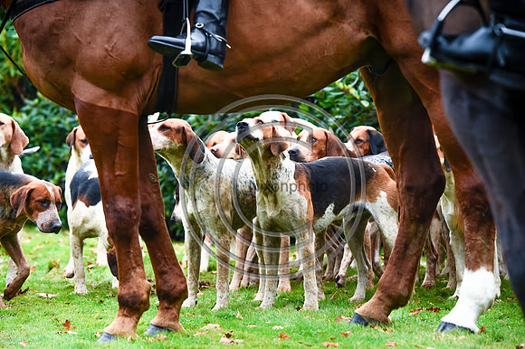 SouthShropshire_Hunting_PN43572