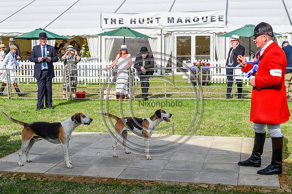 Festival of Hounds 2024