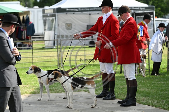 Festival of Hounds 2024