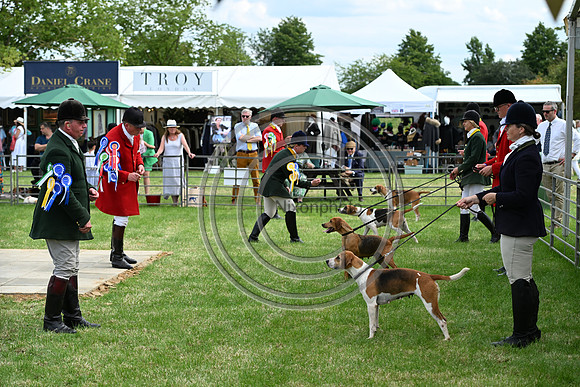Festival of Hounds 2024