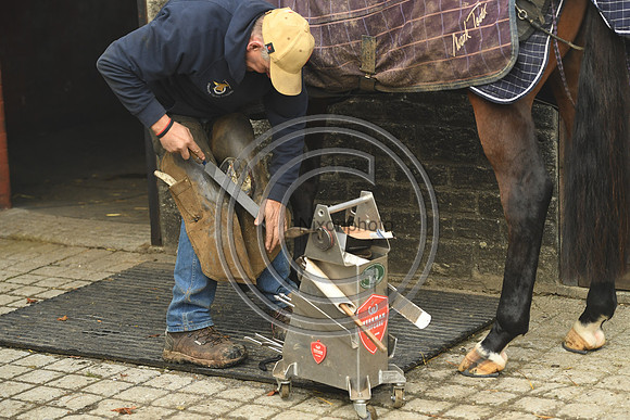 Nigel Perrott_Farrier_PN20_51838