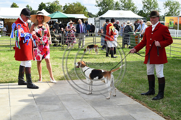 Festival of Hounds 2024