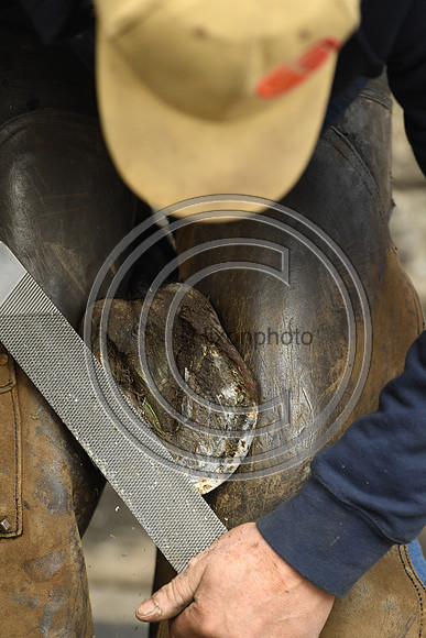 Nigel Perrott_Farrier_PN20_51866