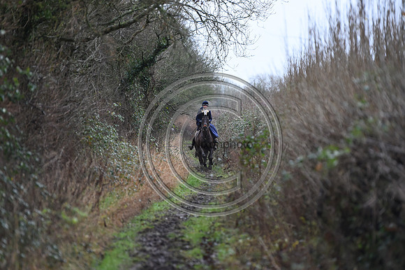 Duke of Beaufort's Hunt  08 01 22
