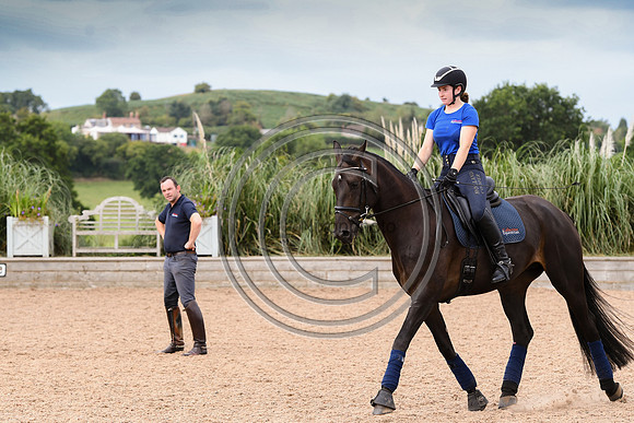Collective Equestrian