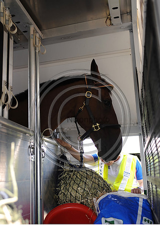 OlympicHorses_08KH302