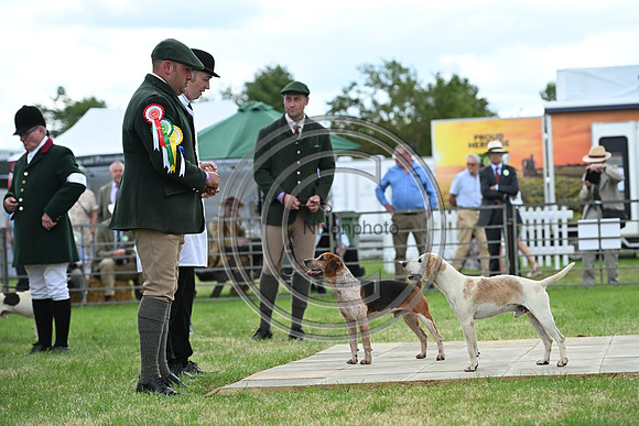 Festival of Hounds 2024