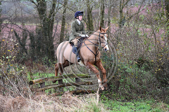 Ludlow_Hunting_81