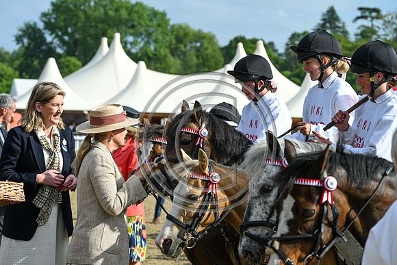 DAKS_PC_RWHS25_P189984