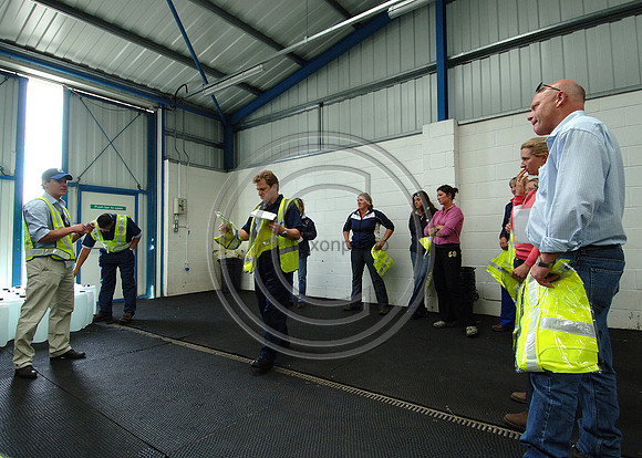 OlympicHorses_08KH267