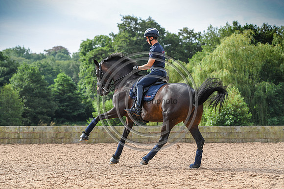 Collective Equestrian
