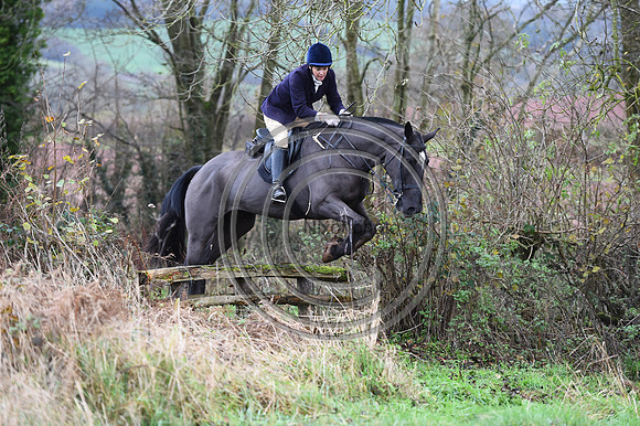 Ludlow_Hunting_15