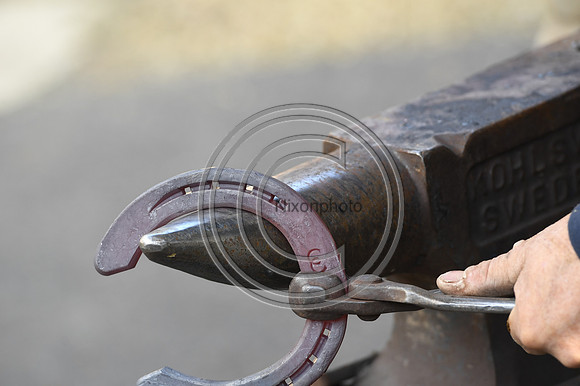 Nigel Perrott_Farrier_PN20_51876