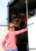 OlympicHorses_08KH265