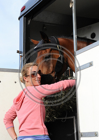 OlympicHorses_08KH265