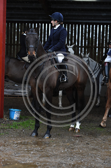 Duke of Beaufort's Hunt  08 01 22