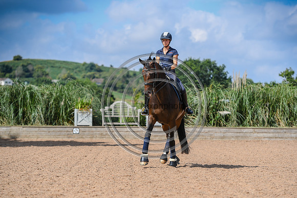 Collective Equestrian