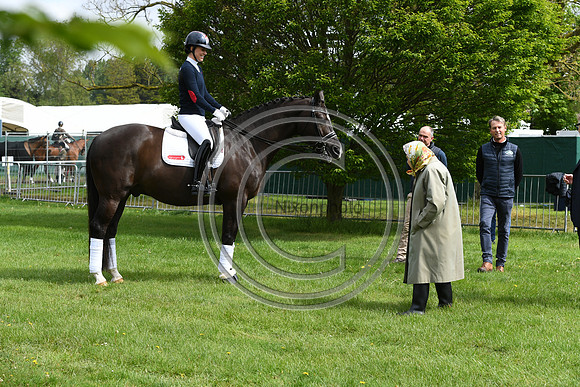 Valegro_RWHS_PN19_12902