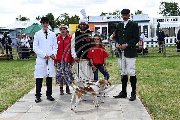 Festival of Hounds 2024