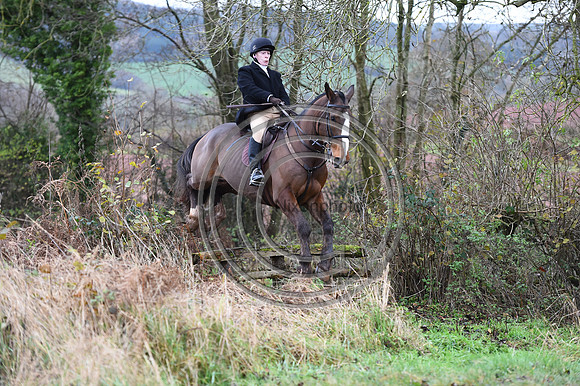 Ludlow_Hunting_201