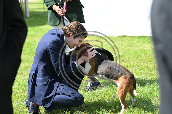 Festival of Hounds 2024