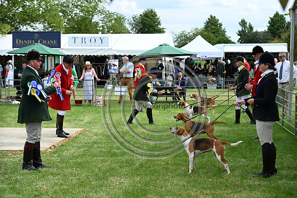 Festival of Hounds 2024