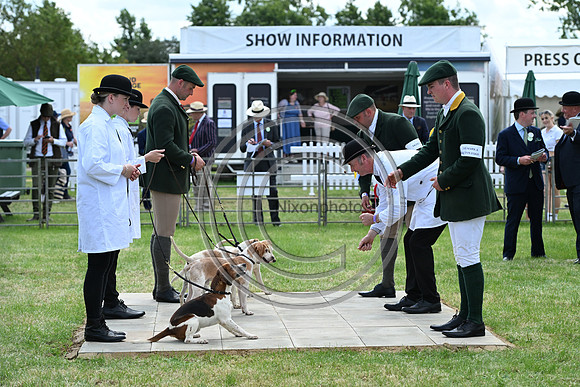 Festival of Hounds 2024