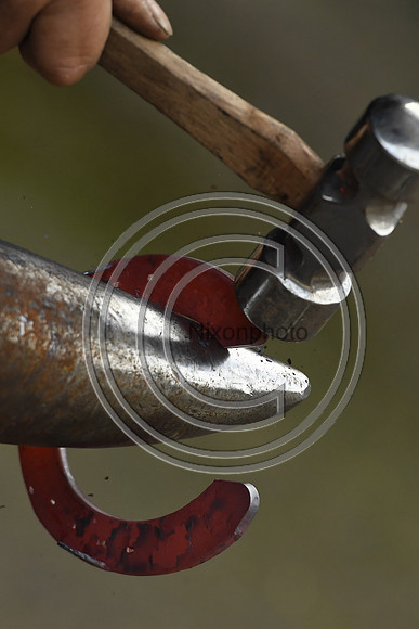 Nigel Perrott_Farrier_PN20_51833