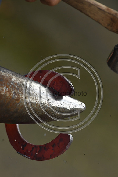 Nigel Perrott_Farrier_PN20_51834