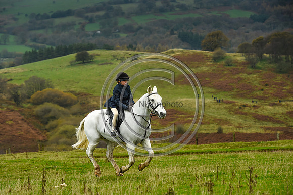SouthShropshire_Hunting_PN43576