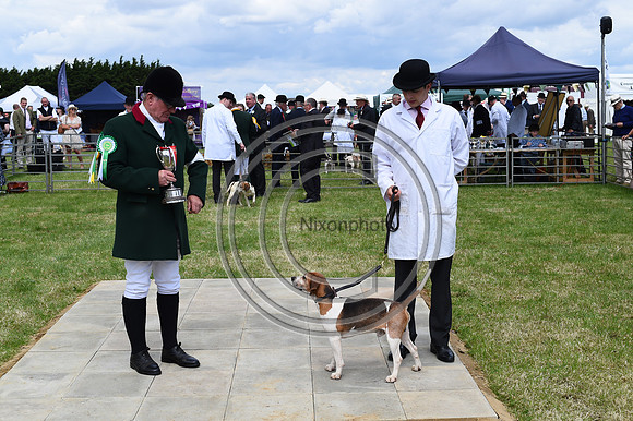 Festival of Hounds 2024
