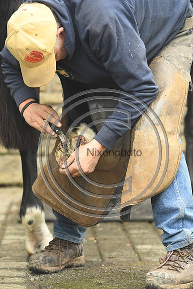 Nigel Perrott_Farrier_PN20_51858