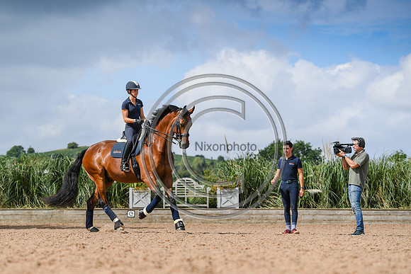 Collective Equestrian