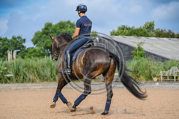 Collective Equestrian
