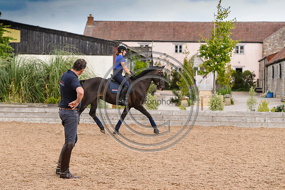 Collective Equestrian