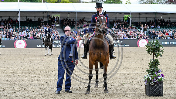 Rosemore Midnight Rendezvous_RWHS_PN24_132371
