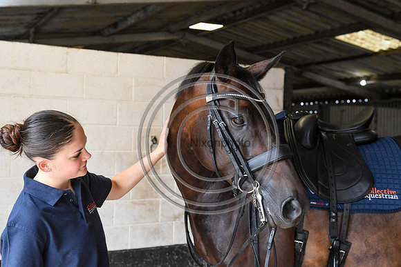 Collective Equestrian