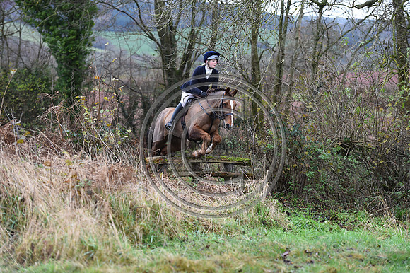 Ludlow_Hunting_209