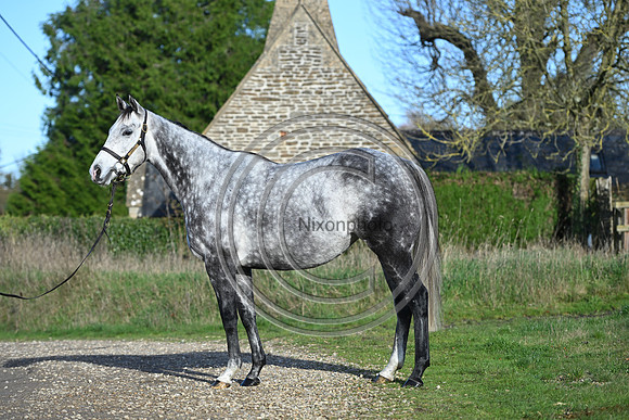 Mare_Selwood_PN56