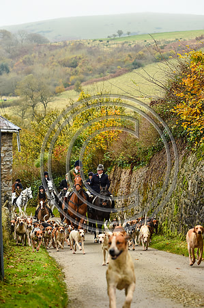 SouthShropshire_Hunting_PN43568