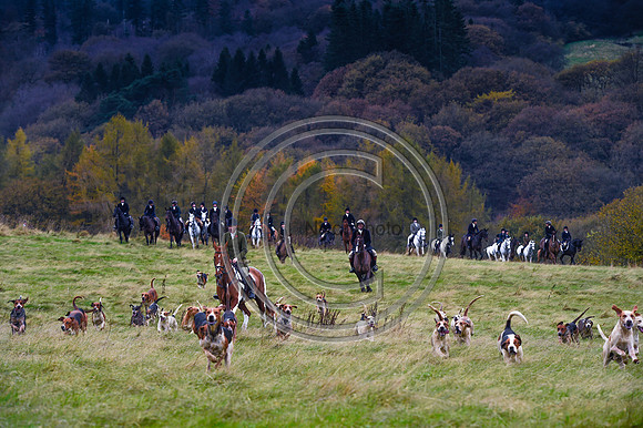 SouthShropshire_Hunting_PN43594