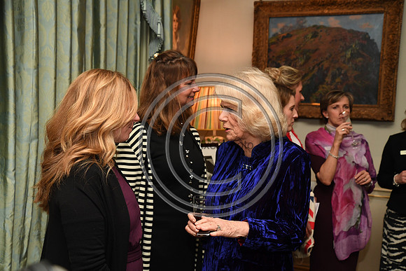 DUCHESS OF CORNWALL_BEF_PN22_10991