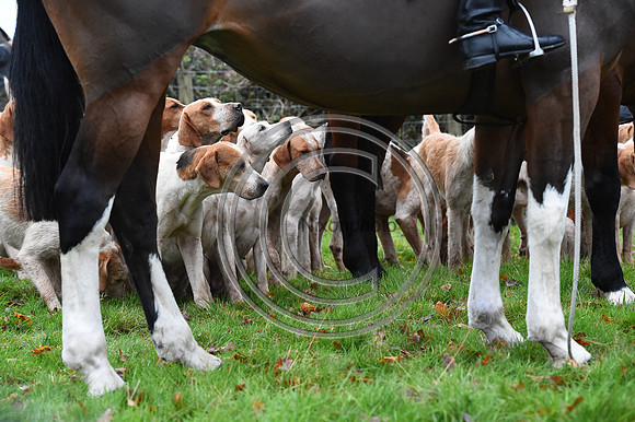 Ludlow_Hunting_170